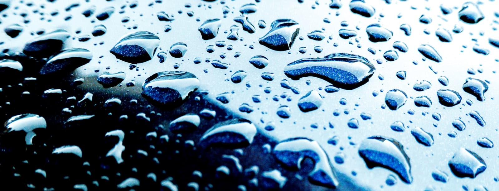 Close-up automotive finish